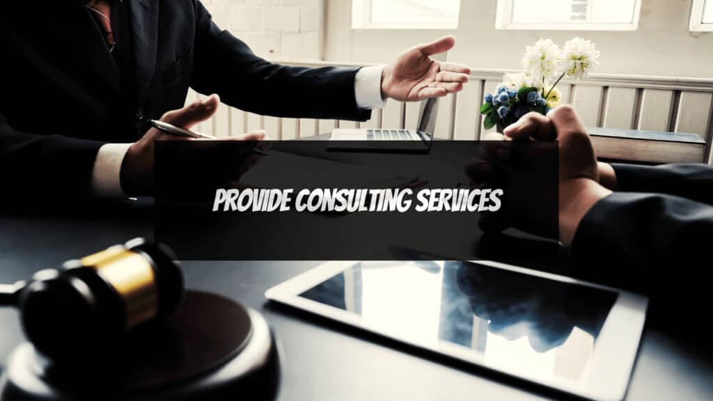 Provide consulting services